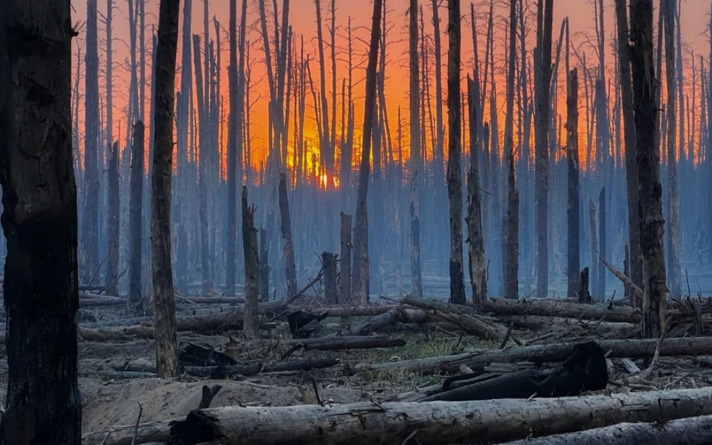 Per le foreste italiane il 2025 è un anno da bollino rosso fuoco
